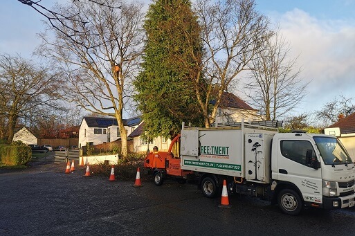 strathaven tree services