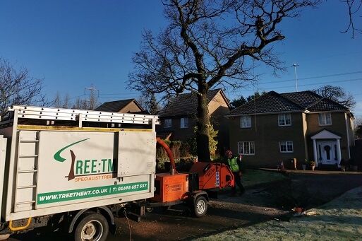 motherwell tree services